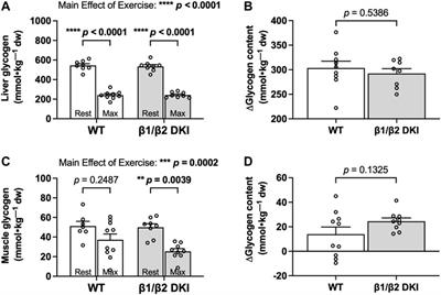 Disrupting AMPK-Glycogen Binding in Mice Increases Carbohydrate Utilization and Reduces Exercise Capacity